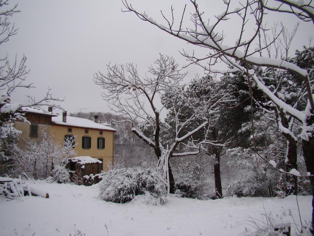 Borgo Tepolini Country House Bed & Breakfast Castel del Piano  Exterior photo