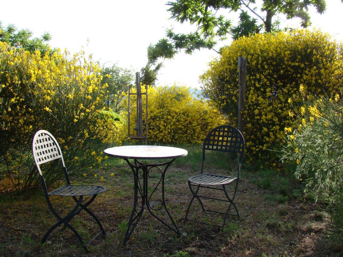 Borgo Tepolini Country House Castel del Piano  Exterior photo
