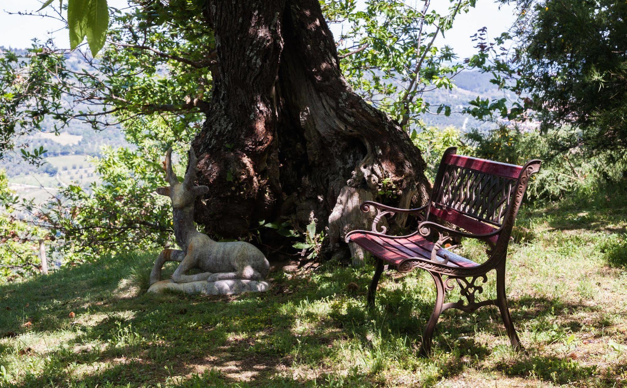 Borgo Tepolini Country House Bed & Breakfast Castel del Piano  Exterior photo